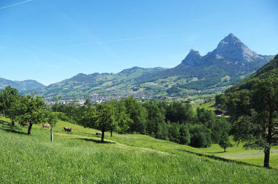 Landscape_in_Switzerland