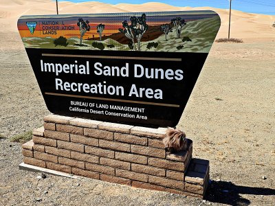 Imperial Sand Dunes 2019
