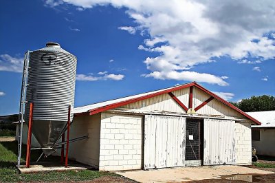 Small Farm