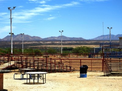 Rodeo With A View