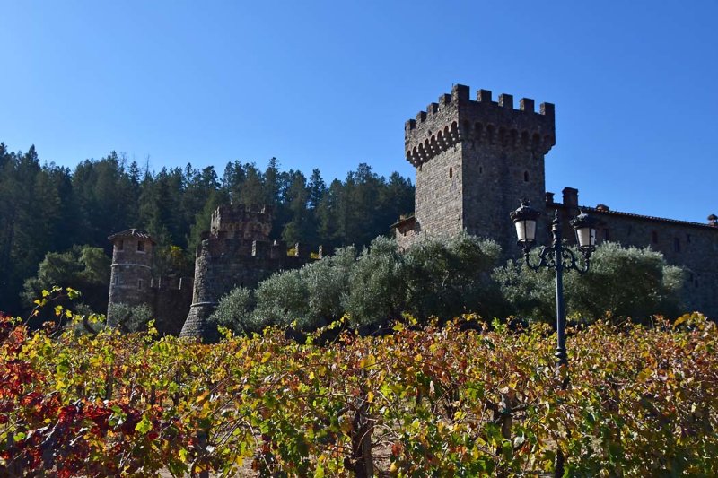 Vines and the Castello
