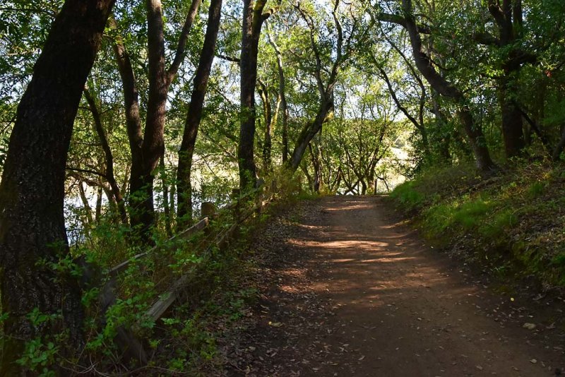 Trail To Marsh