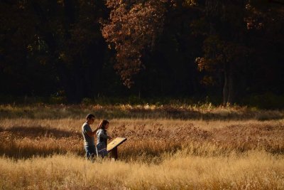 Two In the Meadow
