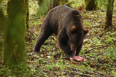 Enthusiastic Eating