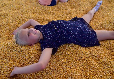 Lay In The Corn