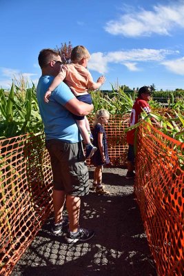 Kids Corn Maze