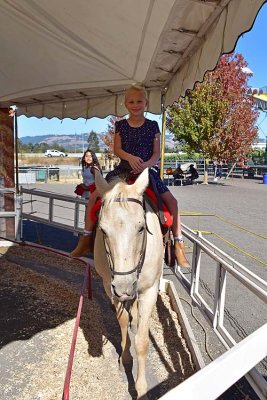 Happy To Ride Pony