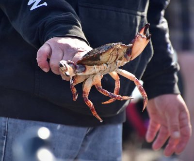 Someone Caught A Crab