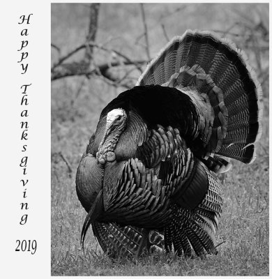 Happy Thanksgiving 2019