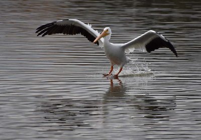 Smooth Landing