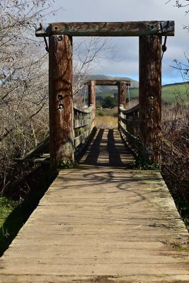 Suspension Bridge