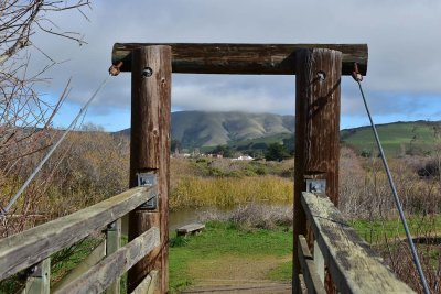 Framed Through the Bridge