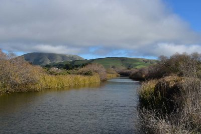 Papermill Creek