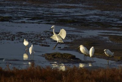 Landing