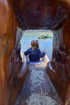 Down the Slide