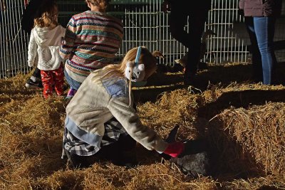 Petting a Rabbit