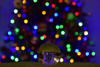 Crystal Globe in Front of Tree
