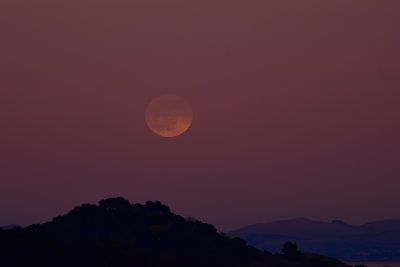Full Moon Rising