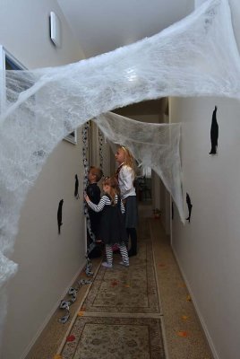 Trick Or Treat By Spiders