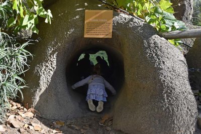 Meerkat Tunnel