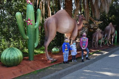Glowfari Camel and Kids