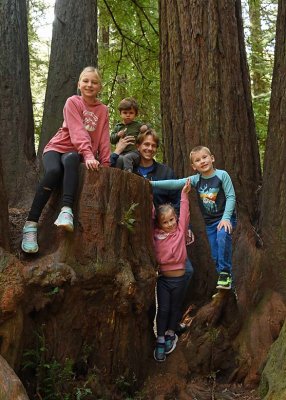 Our Group In the Trees