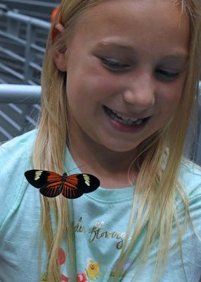 Big Smile for the Butterfly