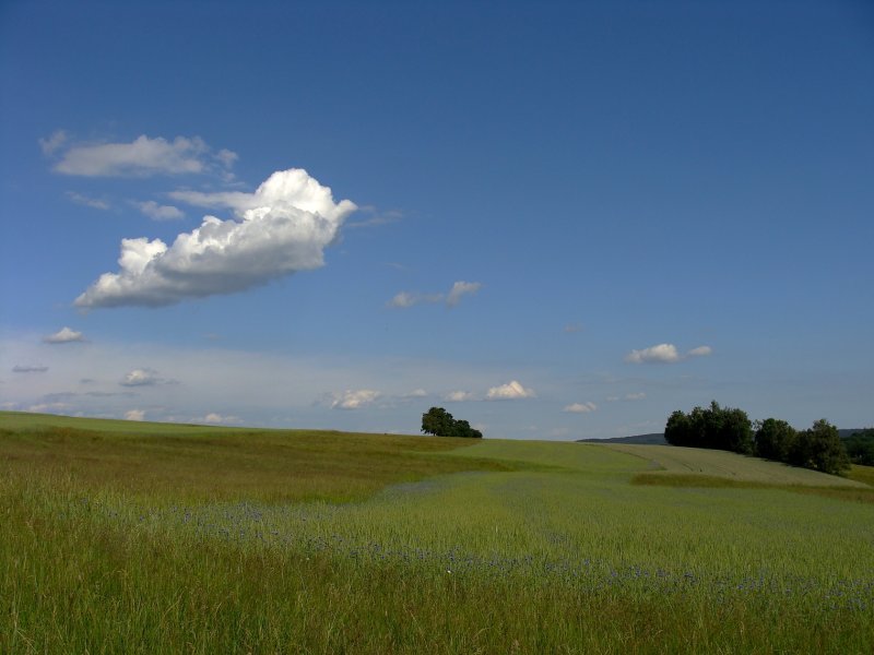 Bad Steben Wandern 7