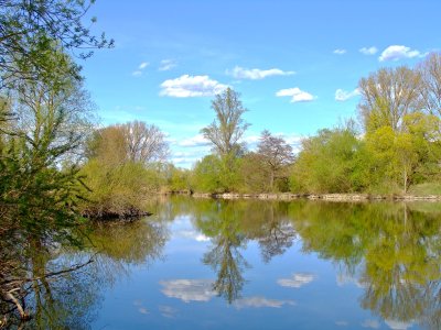 Blue Nature III