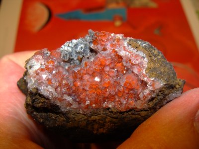 Hands on Limonit und Bergkristall auf Siderit 1 (Schneeberg)
