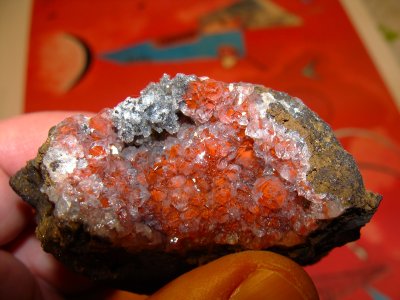 Hands on Limonit und Bergkristall auf Siderit 8 (Schneeberg)