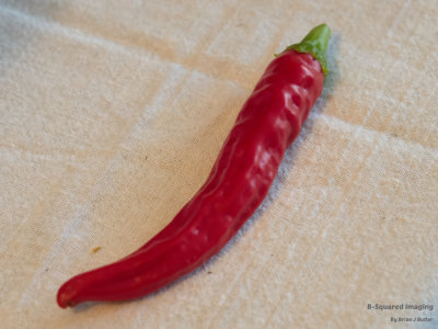 peppers_Charles_006.jpg