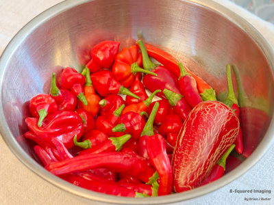 peppers_harvest_003.jpg