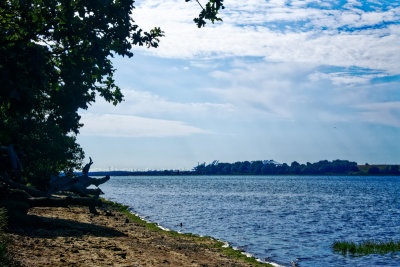 Orwell Estuary