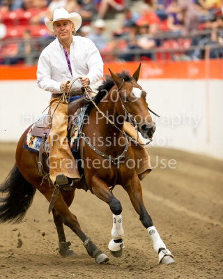 Working Cow Horse Classic