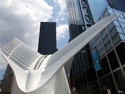 New York t 2019
