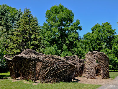 Jardin Botanique de Montreal