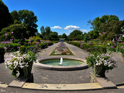 Jardin Botanique de Montreal