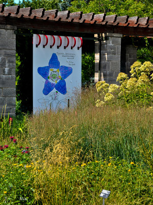 Jardin Botanique de Montreal