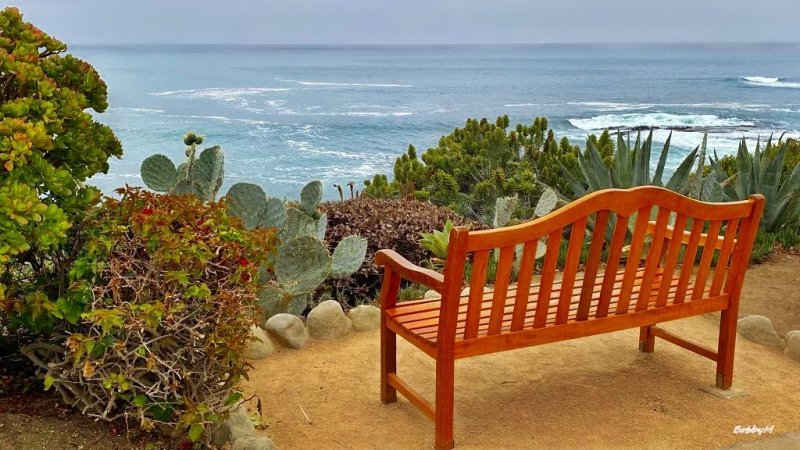 A bench with a view