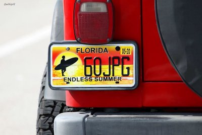 Sunshine state license plate