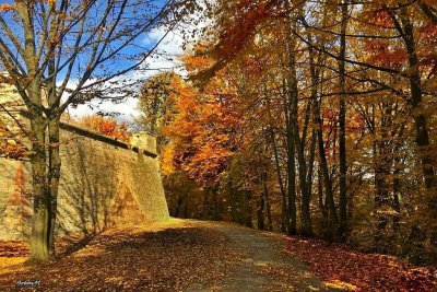 Polish golden autumn