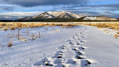 Footprints in the snow