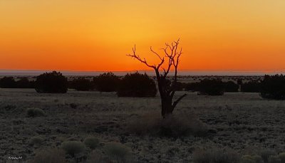 Desert twilight