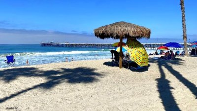 Lazy day at the beach