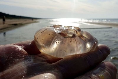 26.08.2019