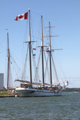 247A3128.jpg
