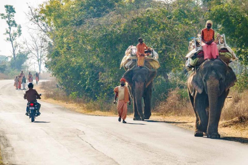 Colorful Travelers on a Mission