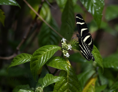 D85_6430.jpg