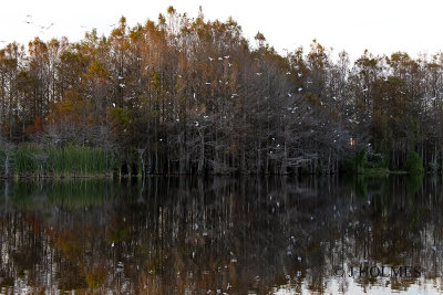 D85_8853.jpg